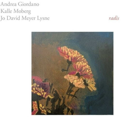 ANDREA GIORDANO / KALLE MOBERG - (PRE ORDER 4/24/26) Radis (VINYL) | Mint (M) Mint (M) - ELECTRONIC *NEW*