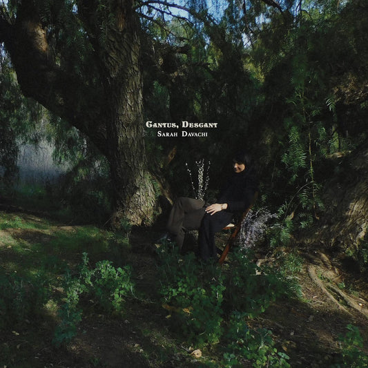 Davachi, Sarah - Cantus, Descant | - ELECTRONIC *NEW*
