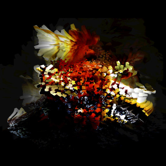 Bogus Order - The Bullnose Step EP (Vinyl) | Mint (M) Mint (M) - ELECTRONIC *NEW*