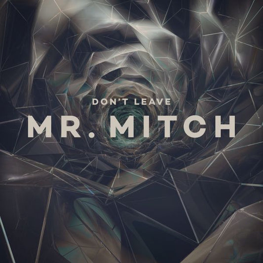 Mr. Mitch - Don't Leave - 12" | - ELECTRONIC *NEW*