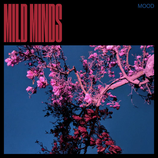 Mild Minds - MOOD (BLUE VINYL) | - ELECTRONIC *NEW*
