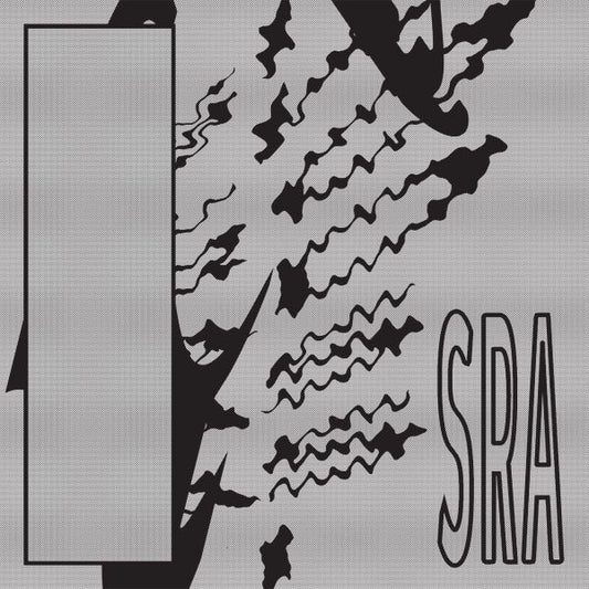 Silk Road Assassins - Reflection Spaces (Vinyl) | - ELECTRONIC *NEW*