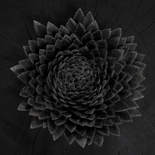 Jonsi - Obsidian (2xVINYL) | - ELECTRONIC *NEW*
