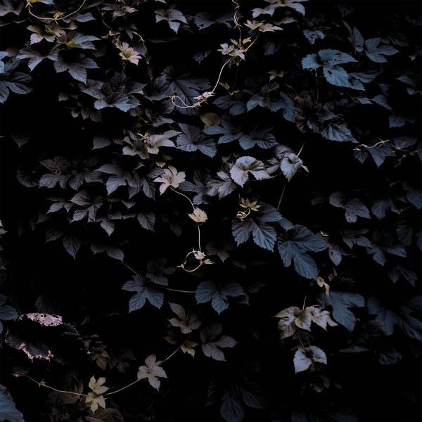 Vallera, Michael - Vivid Flu (CD) | Mint Mint - ELECTRONIC *NEW*