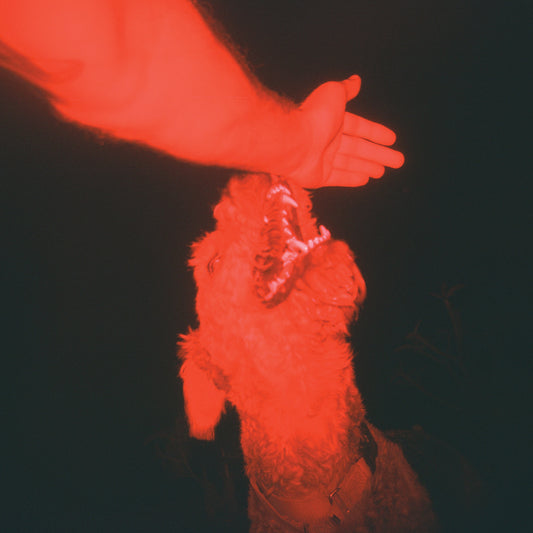 A Trick Of The Light ("Optical Illusion" Transparent Red Vinyl) |