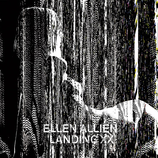 Ellen Allien - Landing XX |