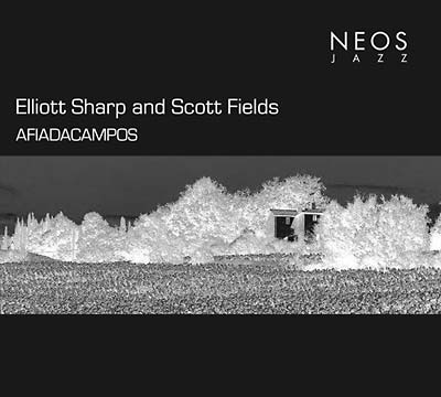 Afiadacampos |