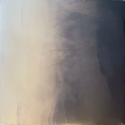 Mujo | Mint (M) Mint (M) - AMBIENT