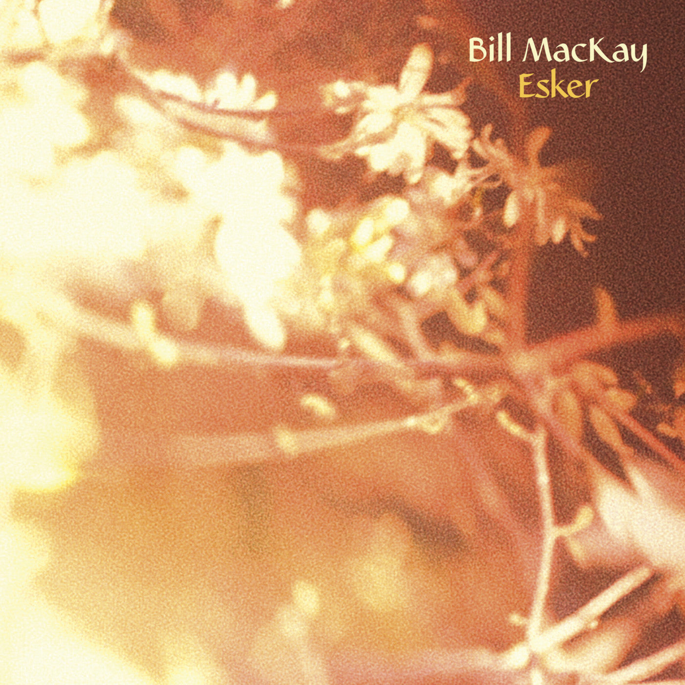 MacKay, Bill - Esker (CD) |