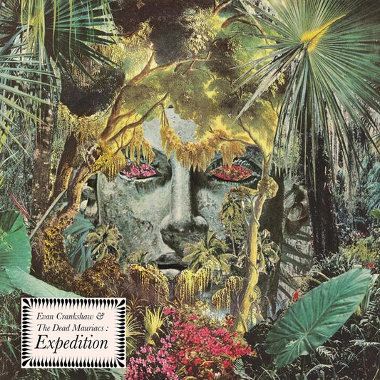 Expedition |