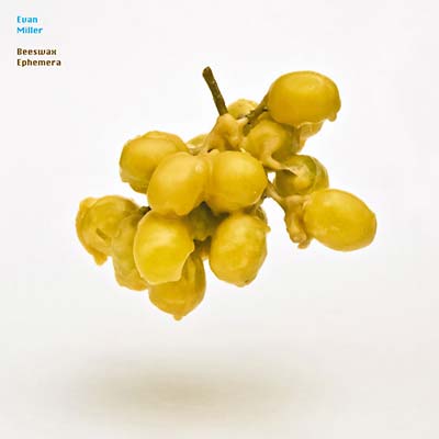 Beeswax Ephemera |