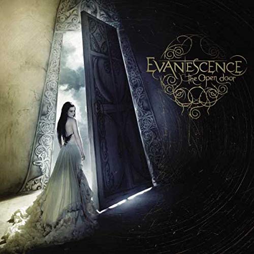 The Open Door (2LP) | Mint (M) Mint (M) - ALT/INDIE