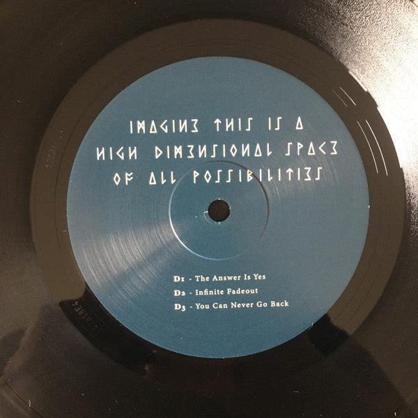 Imagine This Is A High Dimensional Space Of All Possibilities (2xVINYL) | Mint (M) Mint (M) - EXPERIEMENTAL *SEALED*
