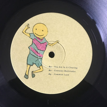 Imagine This Is A High Dimensional Space Of All Possibilities (2xVINYL) | Mint (M) Mint (M) - EXPERIEMENTAL *SEALED*
