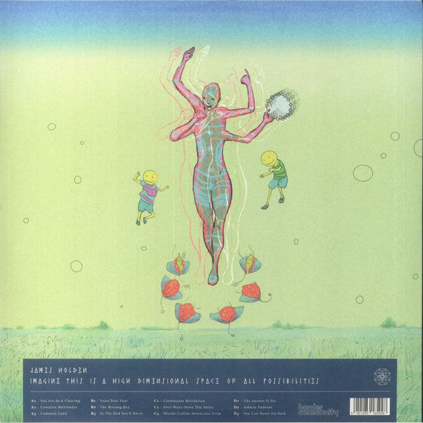 Imagine This Is A High Dimensional Space Of All Possibilities (2xVINYL) | Mint (M) Mint (M) - EXPERIEMENTAL *SEALED*