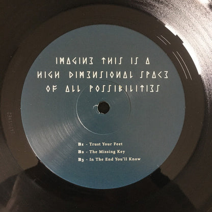 Imagine This Is A High Dimensional Space Of All Possibilities (2xVINYL) | Mint (M) Mint (M) - EXPERIEMENTAL *SEALED*