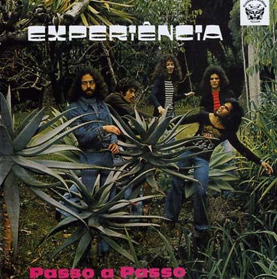 EXPERIENCIA - Passa A Passo |