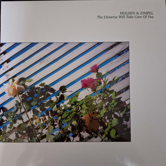 The Universe Will Take Care Of You (WHITE VINYL) | Mint (M) Mint (M) - EXPERIMENTAL *NEW/COLOR*