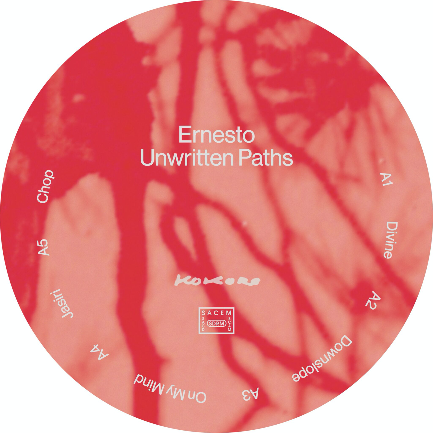 (PRESALE 5/4/26) Unwritten Paths (VINYL) | Mint (M) Mint (M) - EXPERIMENTAL *NEW*