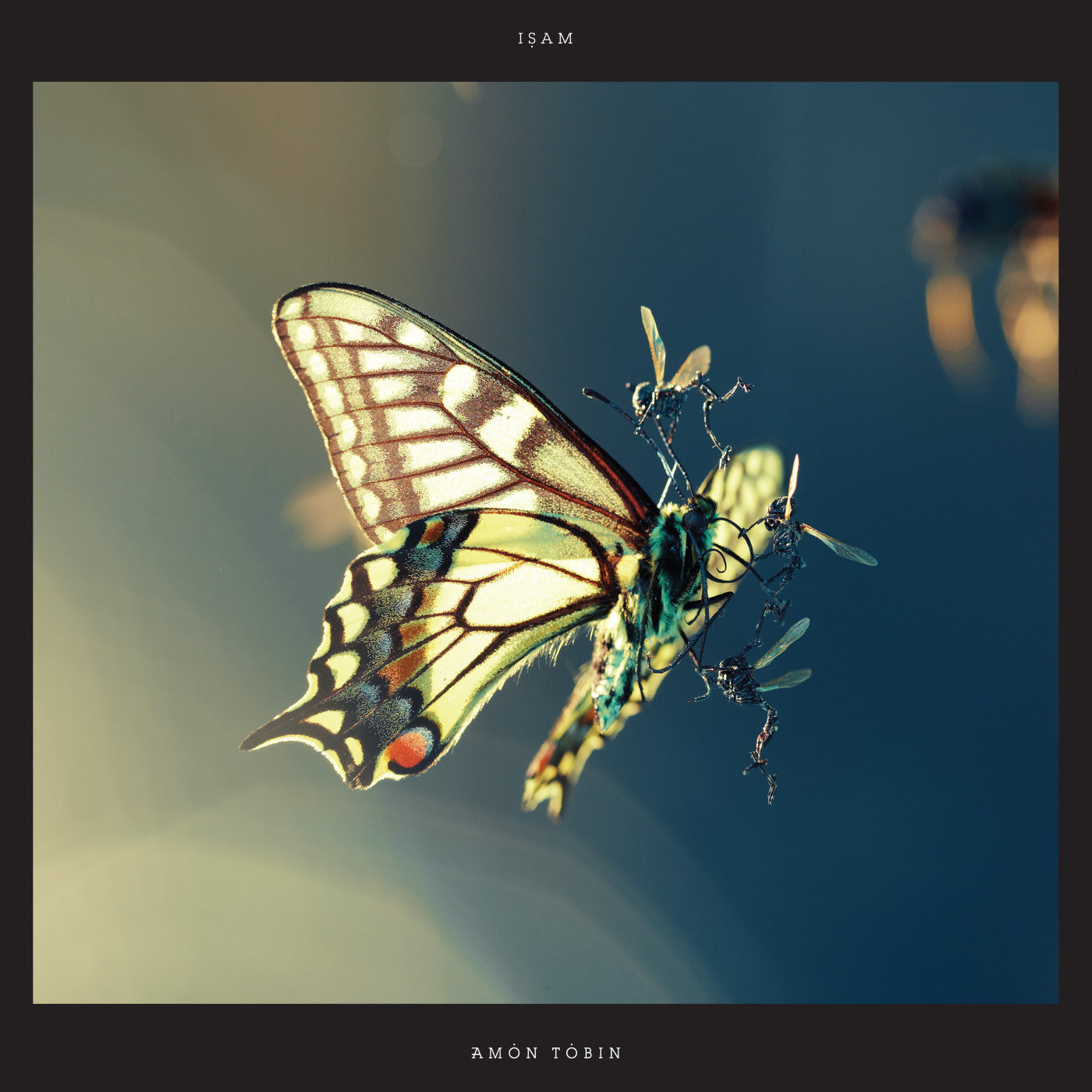 Tobin, Amon - ISAM (CD) | Mint (M) Mint (M) - EXPERIMENTAL *NEW*