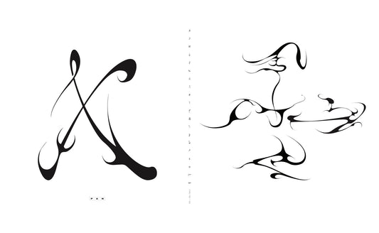 (PRE-ORDER 11/14/25) X, wheel + The Liars Tell... (2x VINYL) | Mint (M) Mint (M) - EXPERIMENTAL *NEW*
