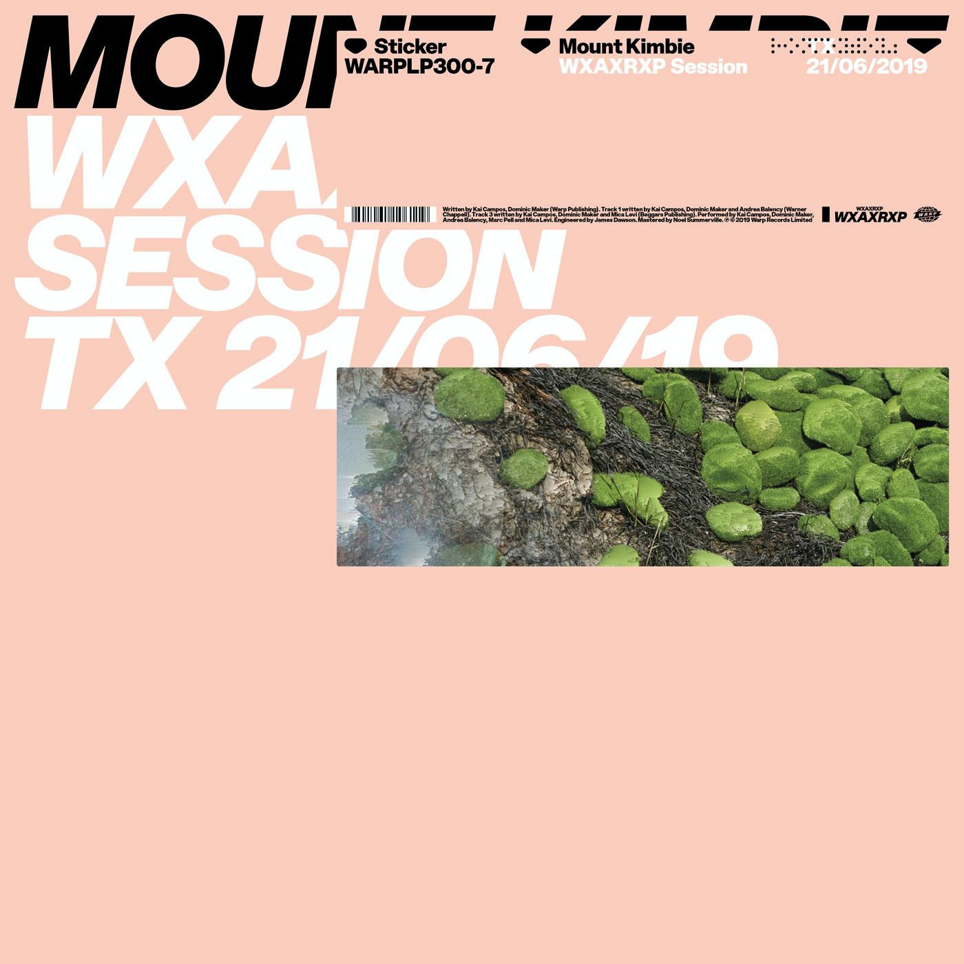 WXAXRXP Session (VINYL) | Mint (M) Mint (M) - EXPERIMENTAL *NEW*