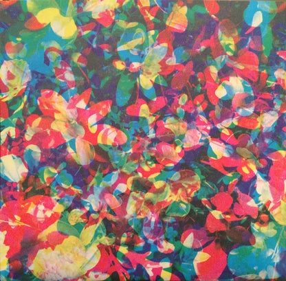 Caribou - Our Love (VINYL) | Mint (M) Mint (M) - HOUSE *SEALED*