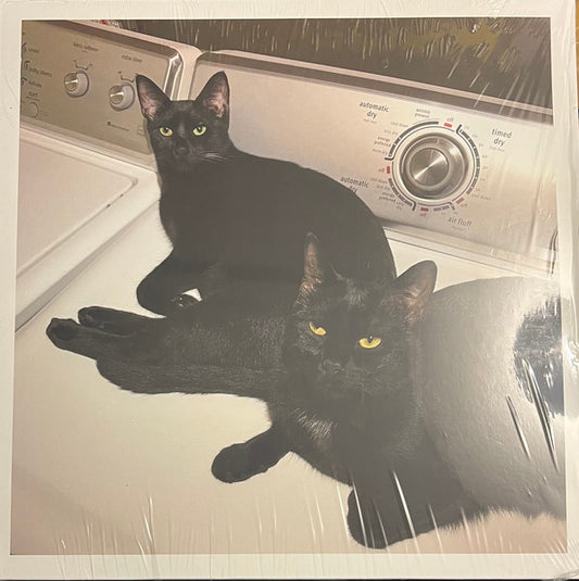 Sons Of (VINYL) | Mint (M) Mint (M) - EXPERIMENTAL *NEW*