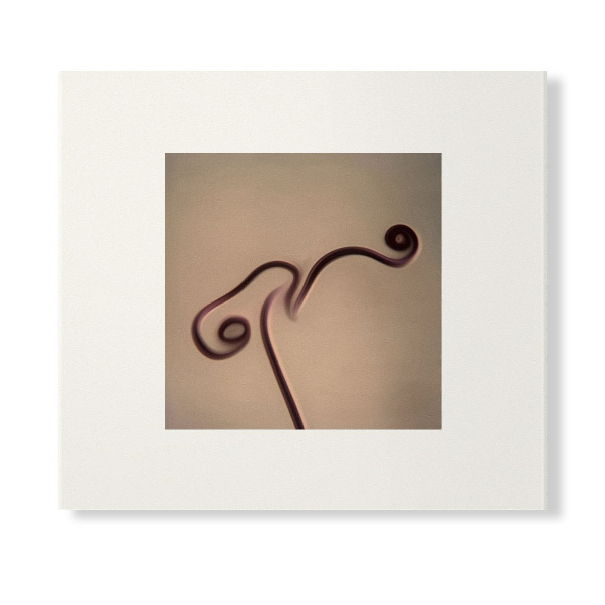 Image 1983-1998 (Skintone Edition) (CD) | Mint (M) Mint (M) - EXPERIMENTAL *NEW*
