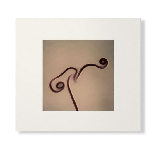 Image 1983-1998 (Skintone Edition) (CD) | Mint (M) Mint (M) - EXPERIMENTAL *NEW*