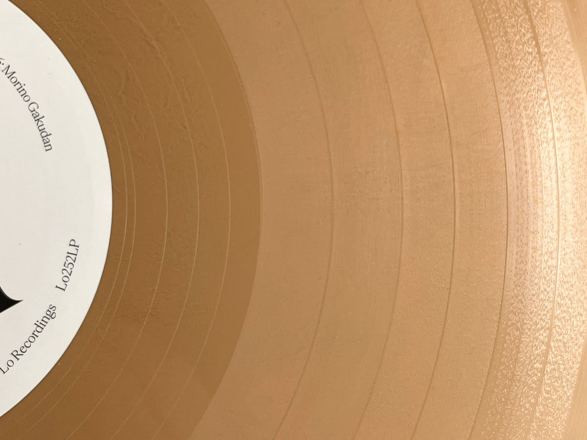 (PRE-ORDER 8/29/25) Image 1983-1998 (Skintone Edition) (WARM BEIGE VINYL) | Mint (M) Mint (M) - EXPERIMENTAL *NEW*