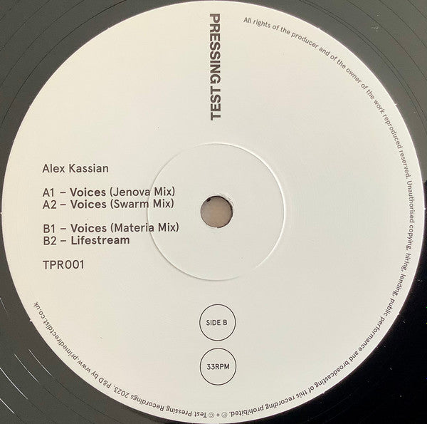Voices (VINYL) | Mint (M) Mint (M) - EXPERIMENTAL *NEW*