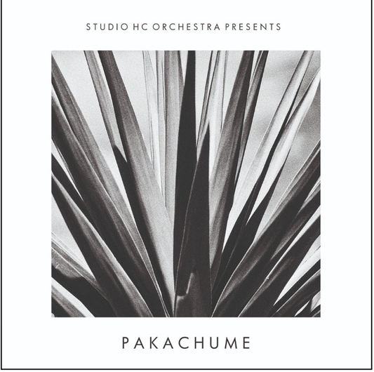 (PRESALE 5/25/26) Pakachume (VINYL) | Mint (M) Mint (M) - EXPERIMENTAL *NEW*