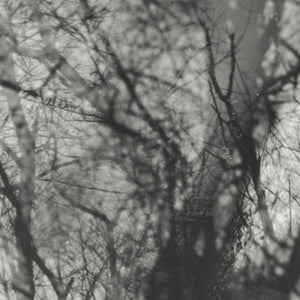 Way Their Crept (VINYL) | Mint (M) Mint (M) - EXPERIMENTAL *NEW*