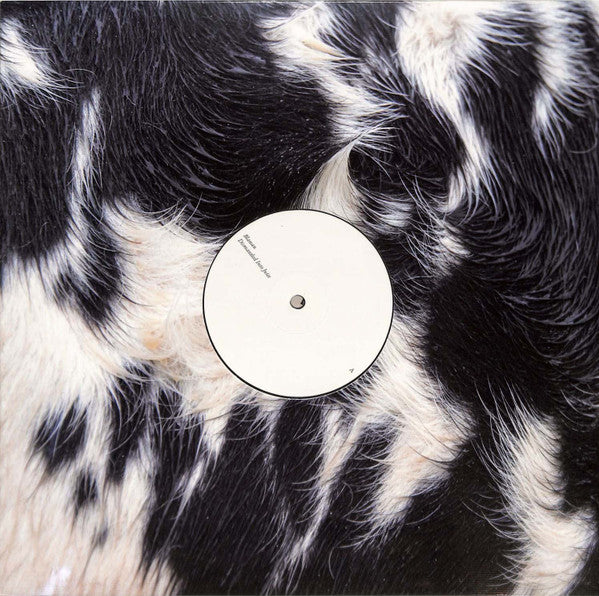 Blawan - Dismantled Into Juice (VINYL 12" XL XL1330T) | - EXPERIMENTAL *SEALED*