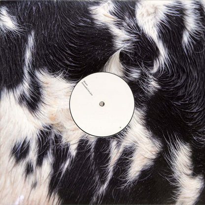 Blawan - Dismantled Into Juice (VINYL 12" XL XL1330T) | - EXPERIMENTAL *SEALED*