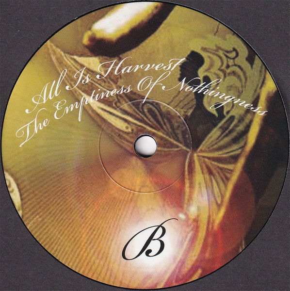 Amorphous Androgynous - The World Is Full Of Plankton (10" RSD 2021 VINYL) | Mint (M) Mint (M) - EXPERIMENTAL *SEALED*
