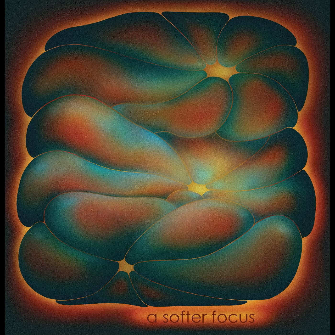 Claire Rousay - A Softer Focus | Mint (M) Mint (M) - EXPERIMENTAL *SEALED*
