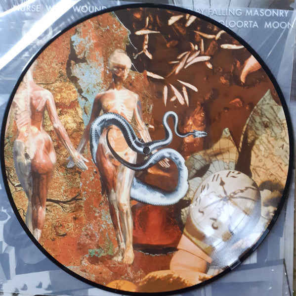 Nurse With Wound - Brained By Falling Masonry / Cooloorta Moon *PICTURE* | Mint (M) Mint (M) - EXPERIMENTAL *SEALED*