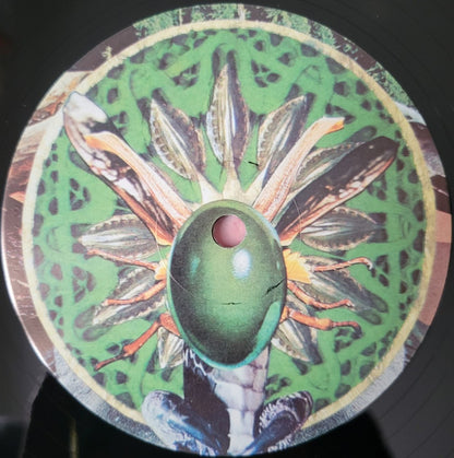 Shackleton - Jinxed By Being | Mint (M) Mint (M) - EXPERIMENTAL *SEALED*