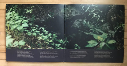 Ultrasonic (2xVINYL) | - EXPERIMENTAL *SEALED*