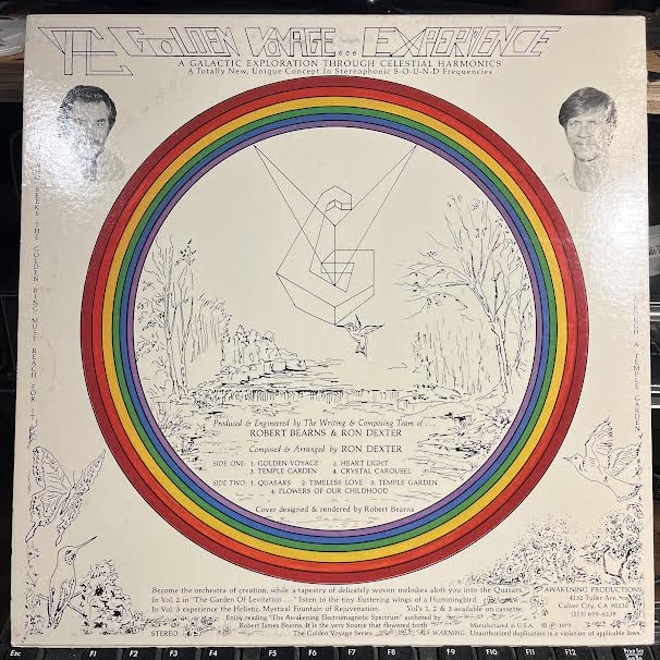 The Golden Voyage Vol. One (VINYL) | Near Mint (NM) Near Mint (NM) - EXPERIMENTAL / USED *NEAR MINT*