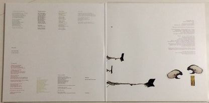 The Ape Of Naples | Mint (M) Mint (M) - EXPERIMENTAL *SEALED*