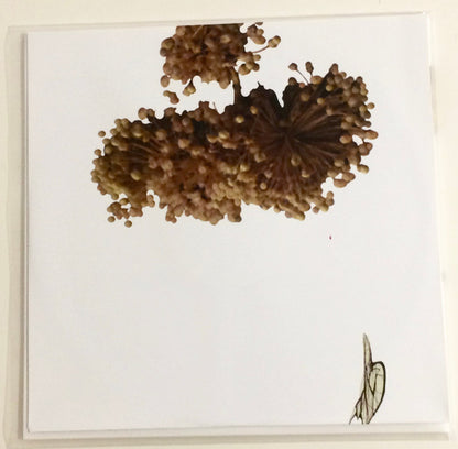 The Ape Of Naples | Mint (M) Mint (M) - EXPERIMENTAL *SEALED*