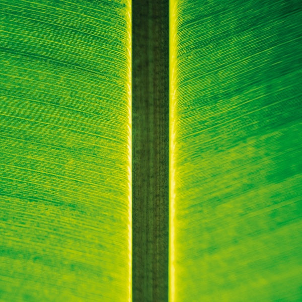 One Instrument Sessions 03 |