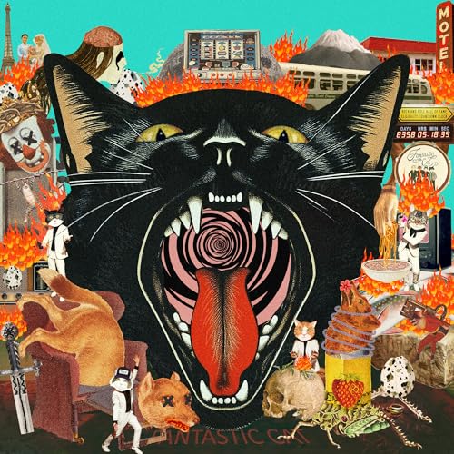 Cat Out Of Hell |