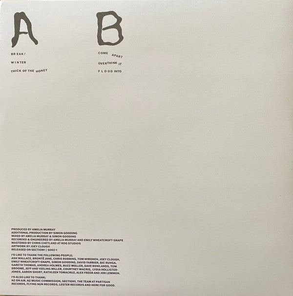 Fazerdaze - Break! | Mint (M) Mint (M) - ALT/INDIE *SEALED*