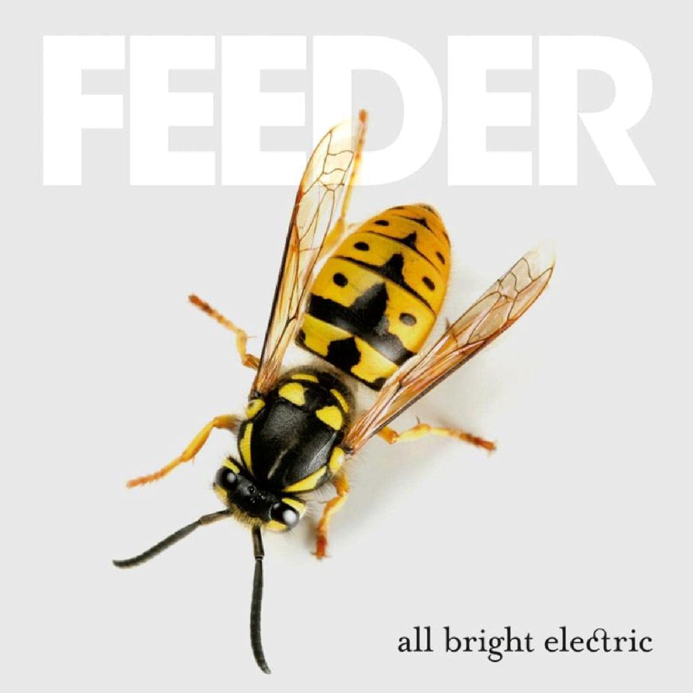 Feeder - All Bright Electric (Deluxe Edition) |