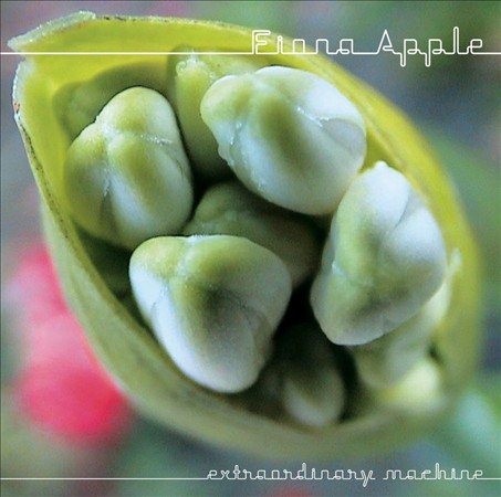 Fiona Apple - Extraordinary Machine |