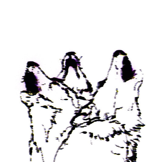Wolves/Pray For Berlin |
